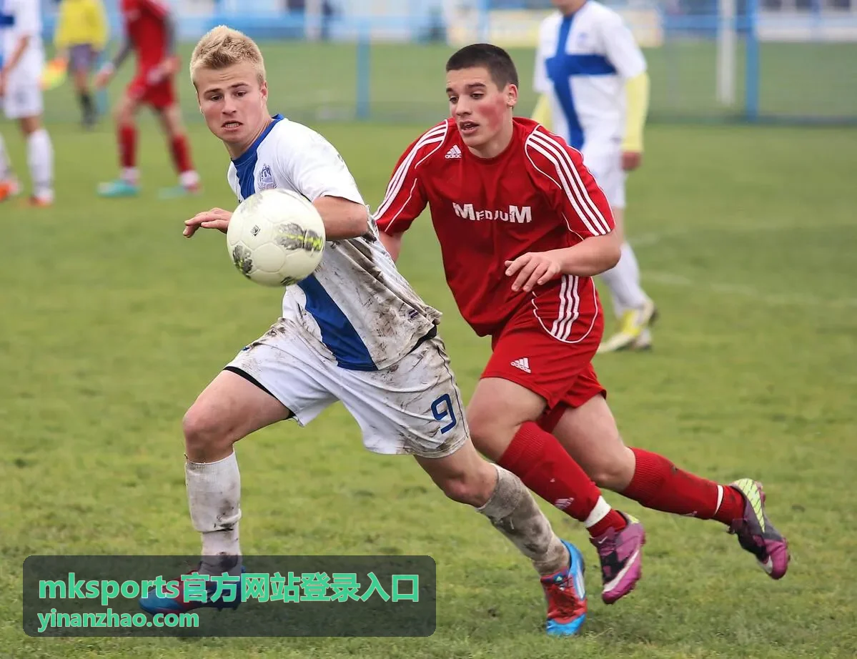 mksports官方网站登录入口不同设备通道差异对比