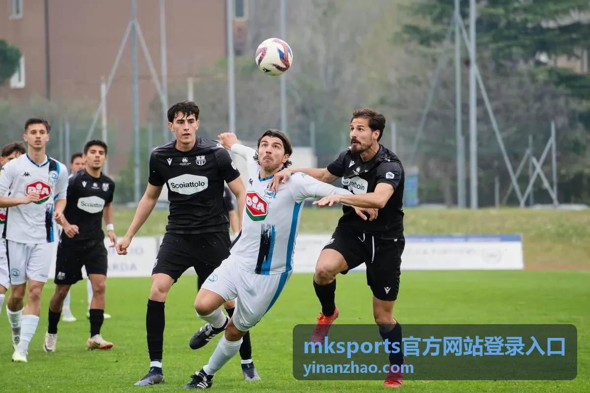 手机浏览器打开 mksports官方网站登录入口的移动场景
